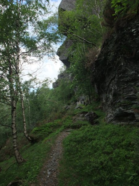 underfjellutspring.jpg