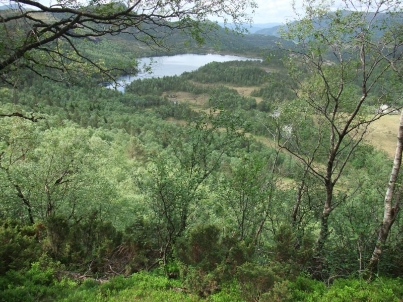 vasstlvatnet.jpg