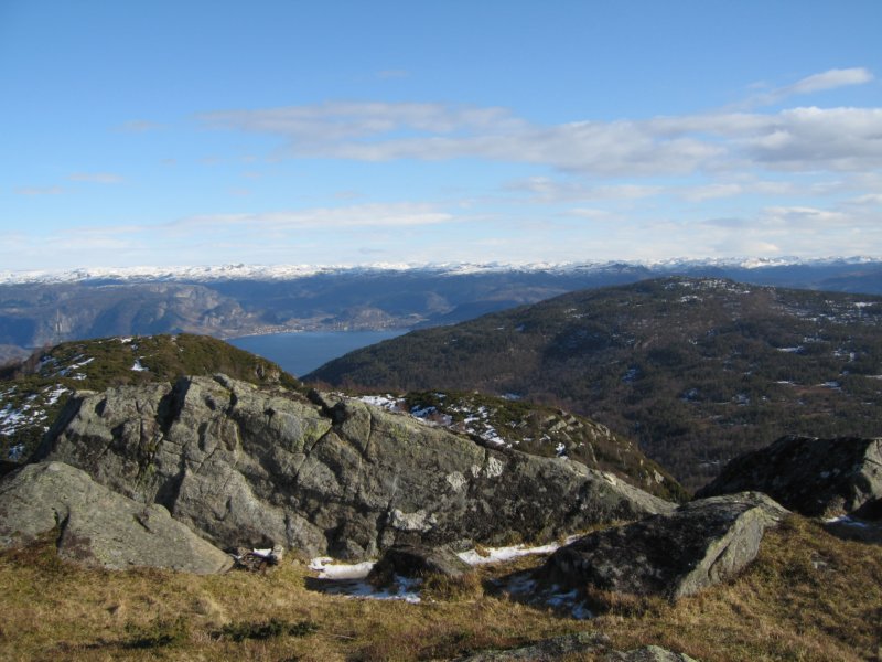 tilbakemotsvekoll.jpg