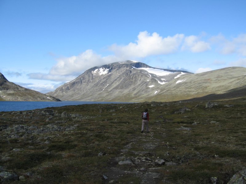 viskalopppvenstresideavbreen.jpg