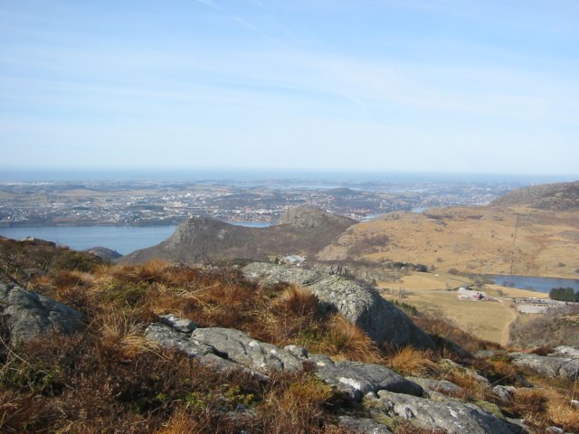 Photograph