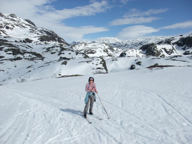 hegerlandsnutenibakgrunnen.jpg