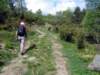 Photo Number 4
