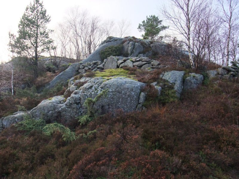 steingard.jpg