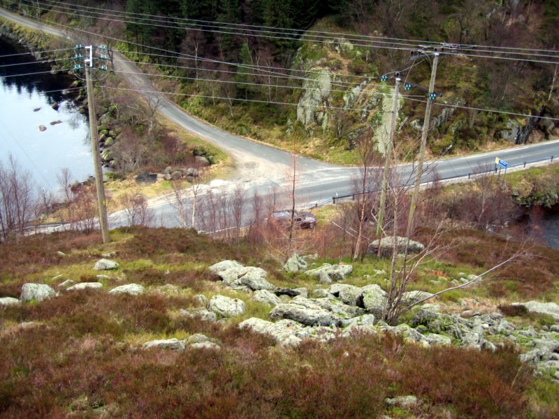 Photograph