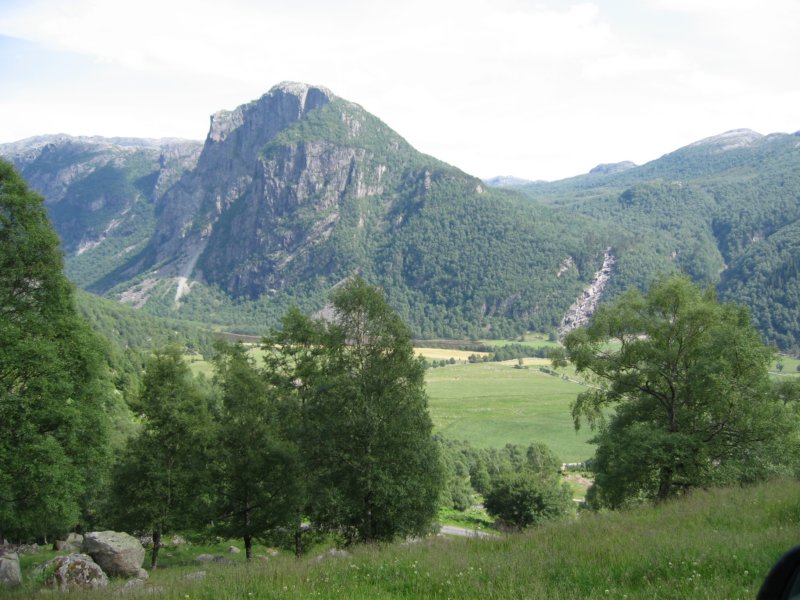 Photograph