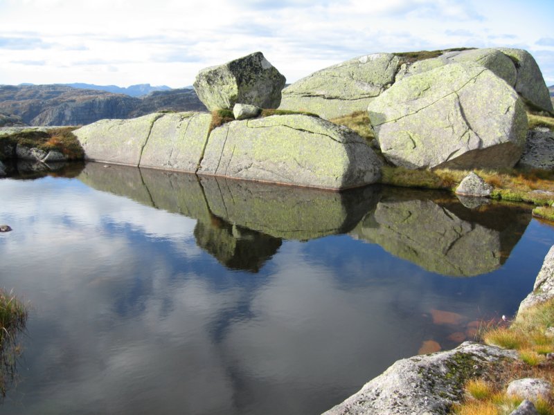 fint.jpg