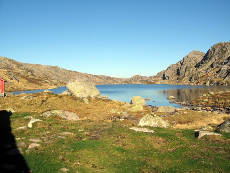 Photograph