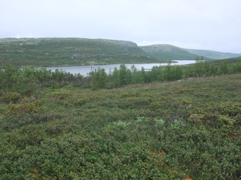 olevatnet2.jpg