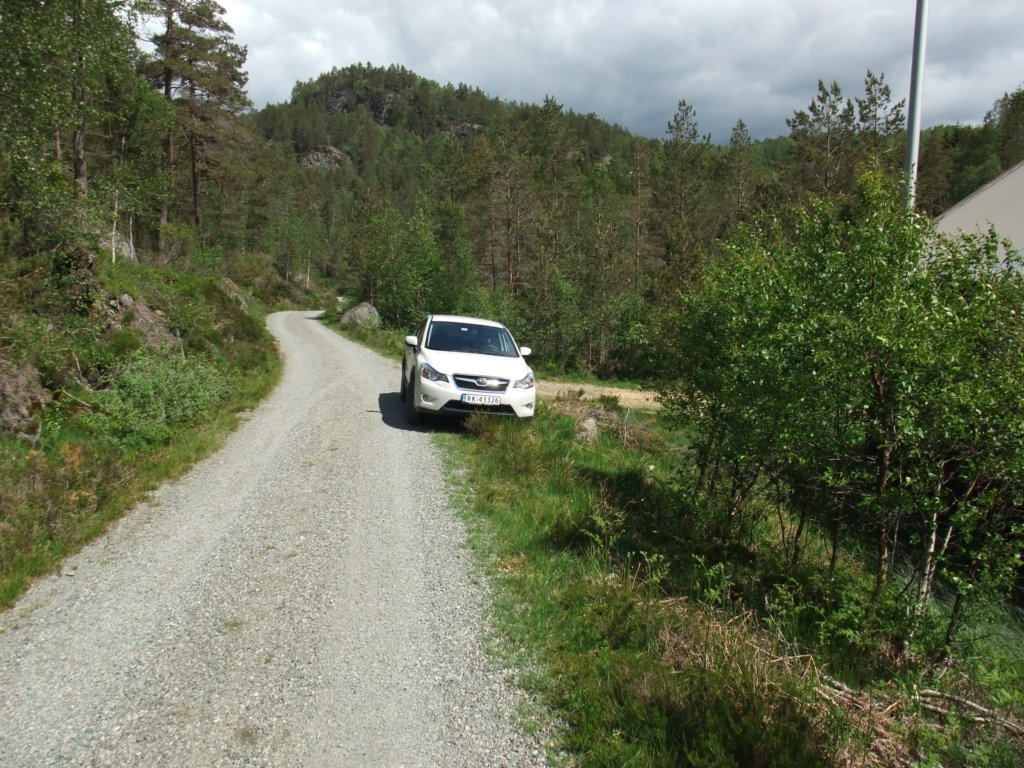 vifantenplasslangsveientilbilen.jpg