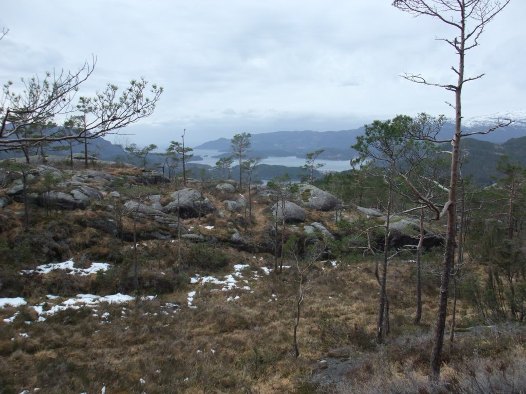 vifrutsiktoversandsfjorden.jpg