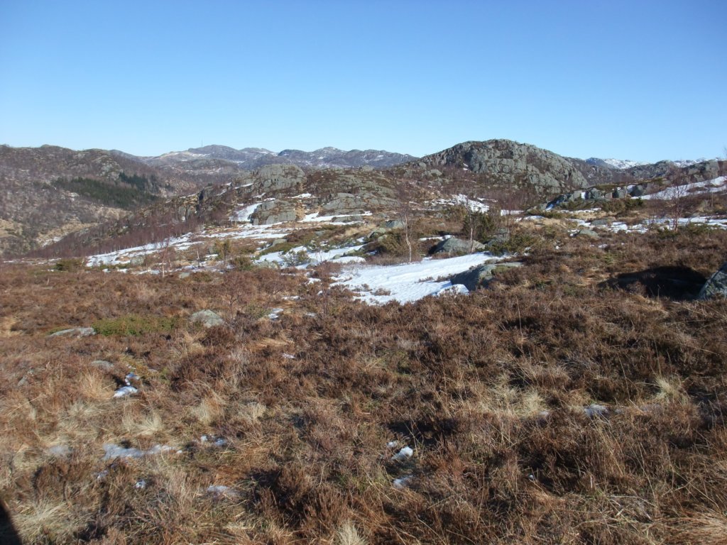 forefjellet.jpg