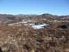 forefjellet_small.jpg