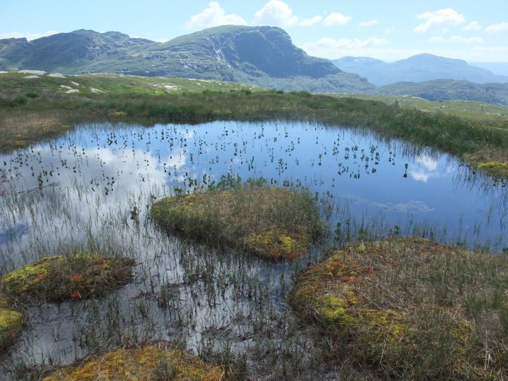 tjern.jpg