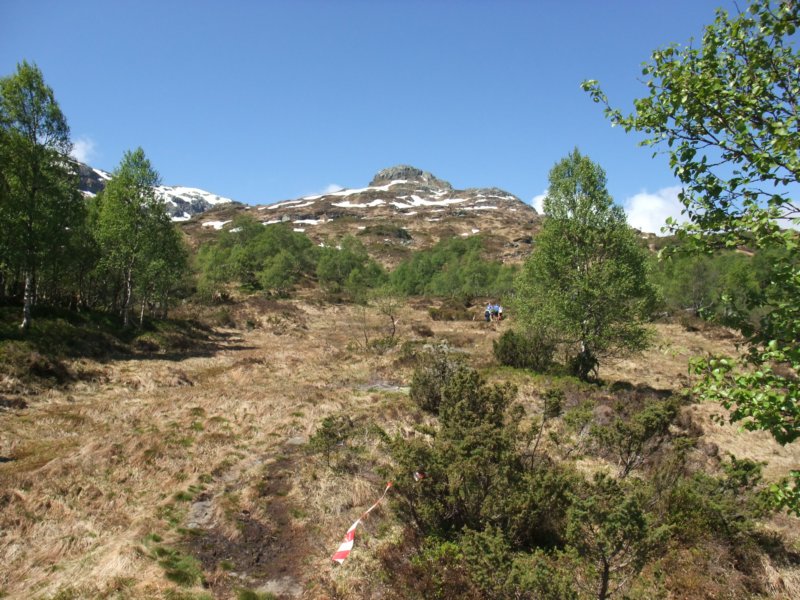 vinrmerossfotenavfjellet.jpg