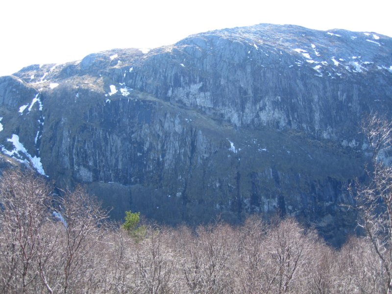 ryrdalen.jpg