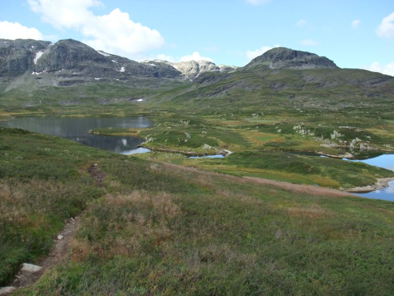 viskalinnikistedalen.jpg