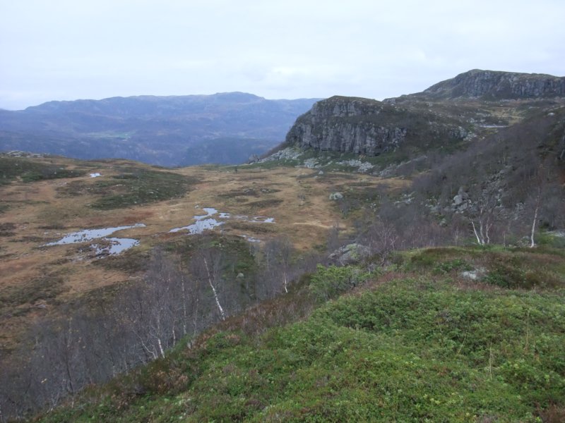 tilbakemotdenstoresteinen.jpg