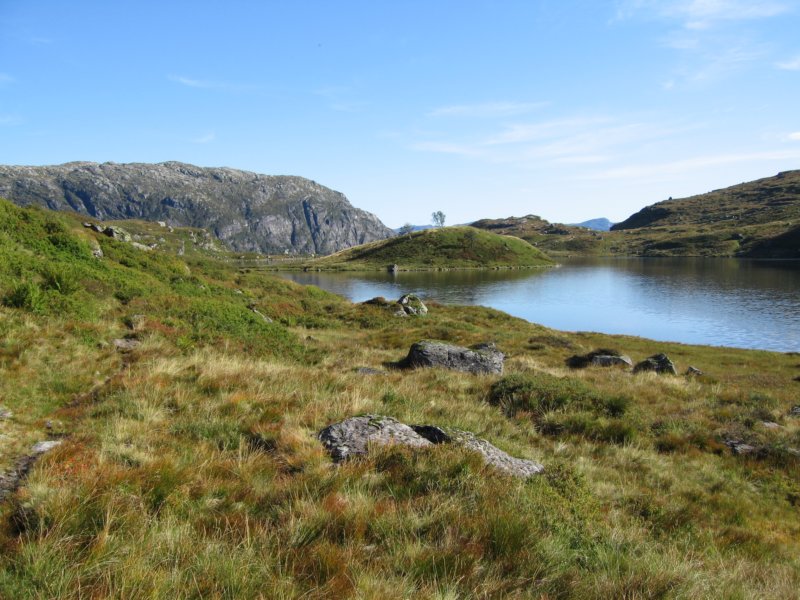 tilbakevedfossdalsvatnet.jpg