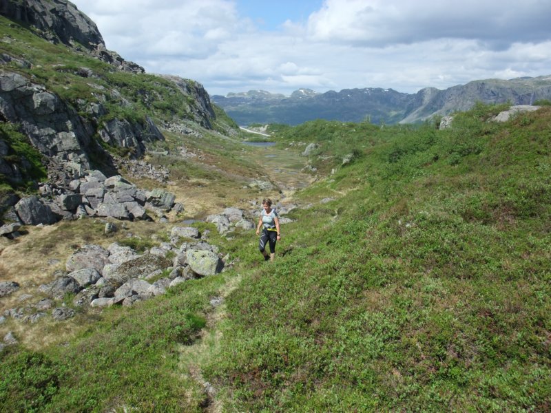 frstpstilangsfotenavfjellet.jpg