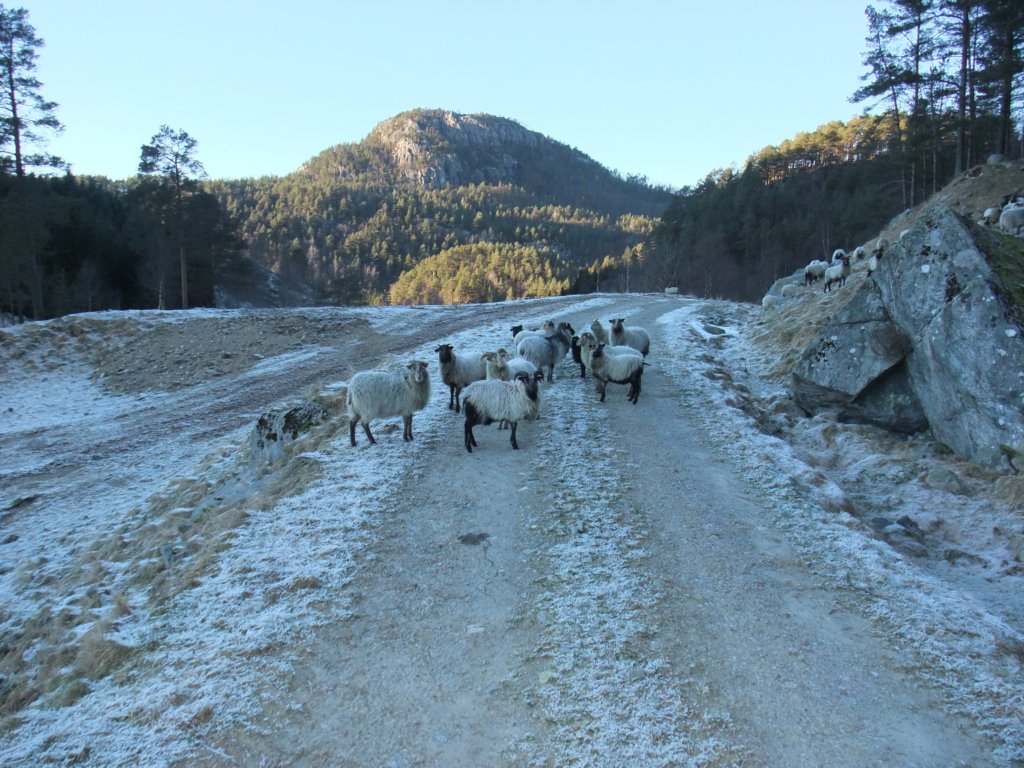 helgafjelletibakgrunnen.jpg