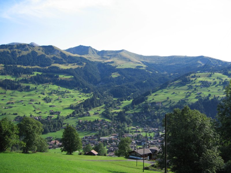 lenk.jpg