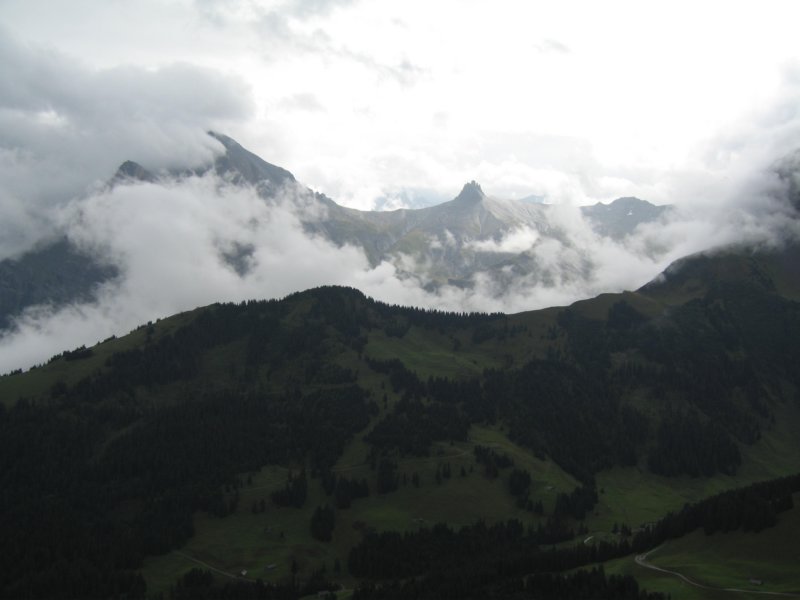 laufbodenhorn2701m.jpg