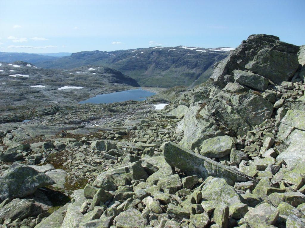 nedtilbakkatjrna.jpg