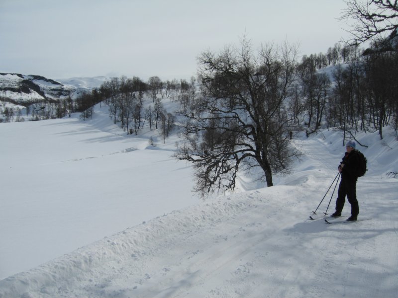 fortsattpautobahn.jpg