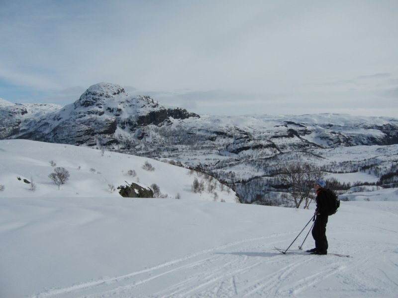 gullingentroneribakgrunnen.jpg