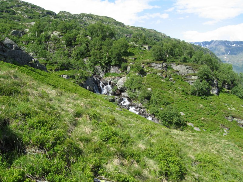 litenfoss.jpg