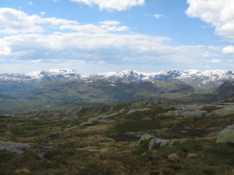 motbrekkeheia.jpg