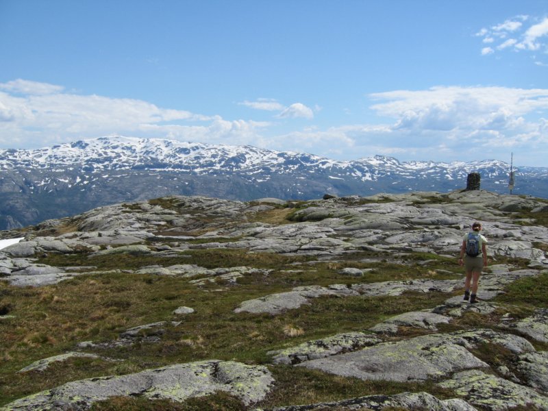 vinrmerossvarden.jpg