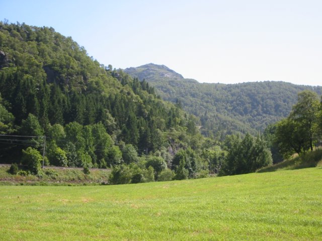 Photograph
