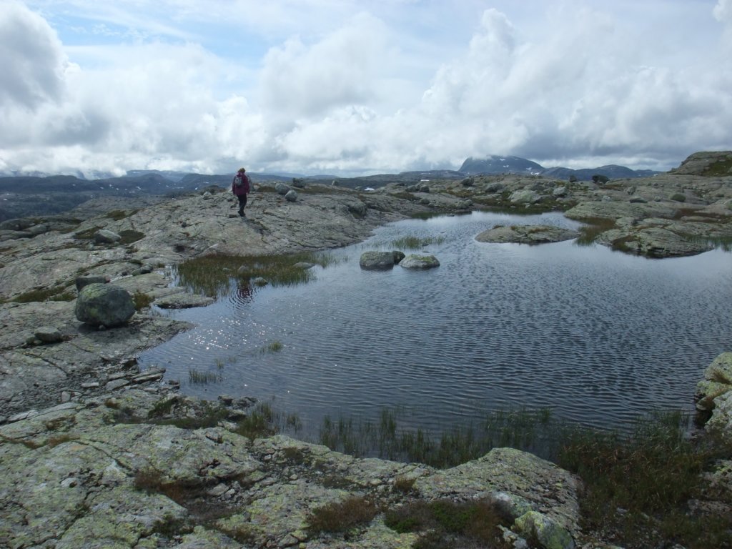 hjemvemednapenibakgrunnen.jpg
