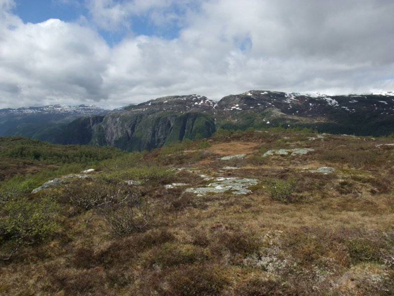 hestfjellet.jpg