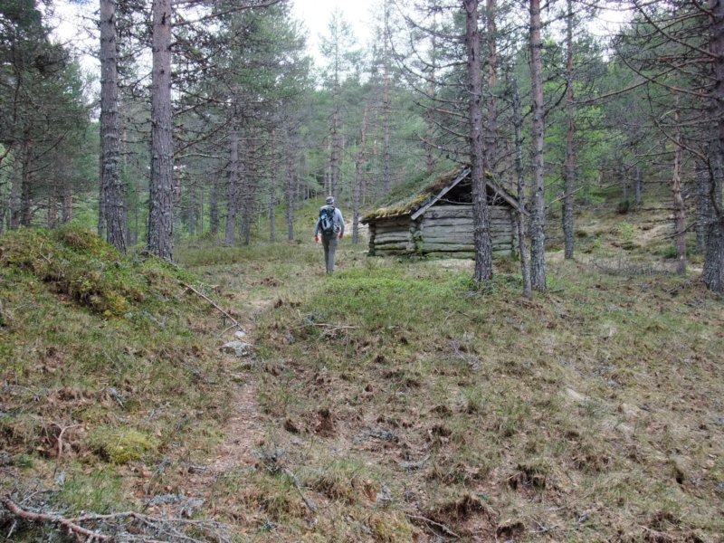 flerestleririnden.jpg