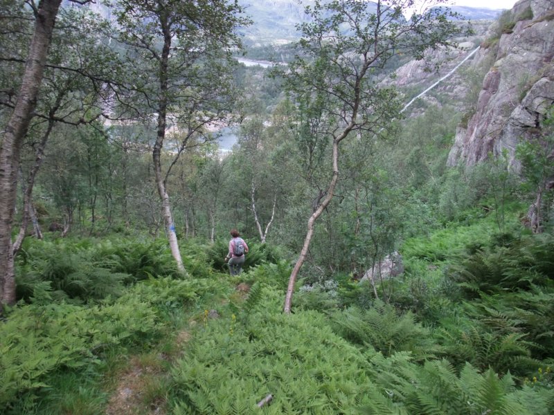 inniskauen.jpg