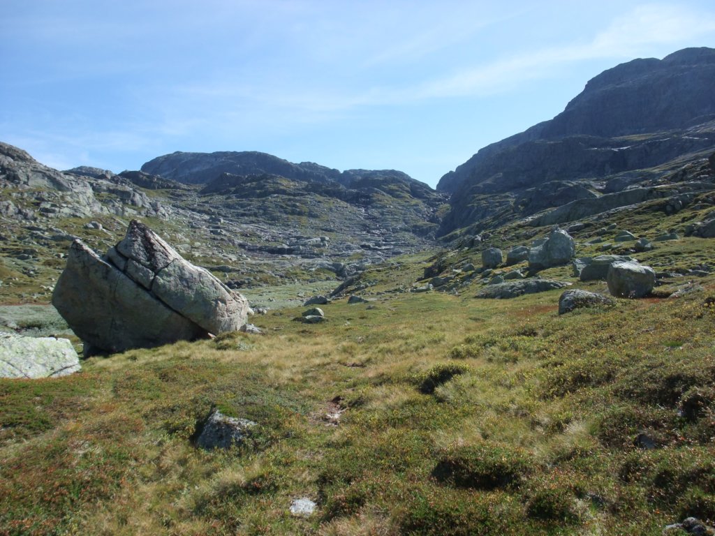 viskaloppsalttjrndalen.jpg