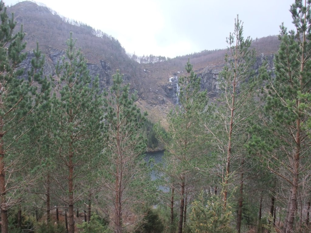 viskalprvekommeossopplangsfossen.jpg