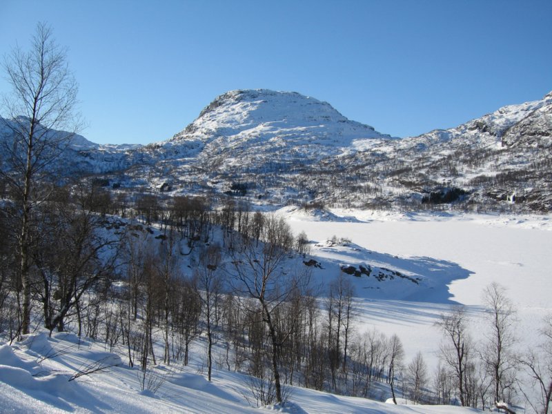 nevrollen.jpg