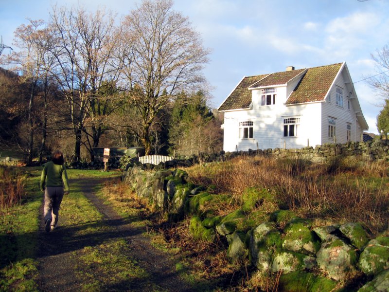 Photograph