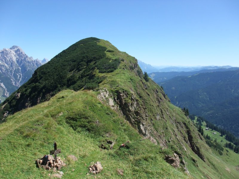 kuhfeldhrndl1942m.jpg