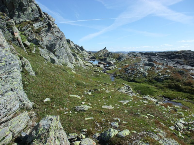 kjektmedndlinger.jpg