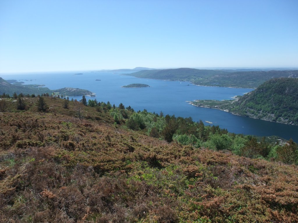 hervikfjorden.jpg