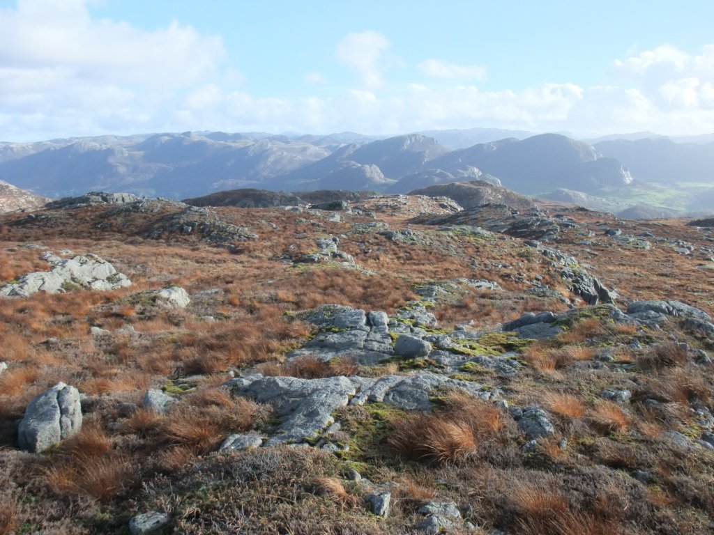 fortsattsnfrittpfjellet.jpg
