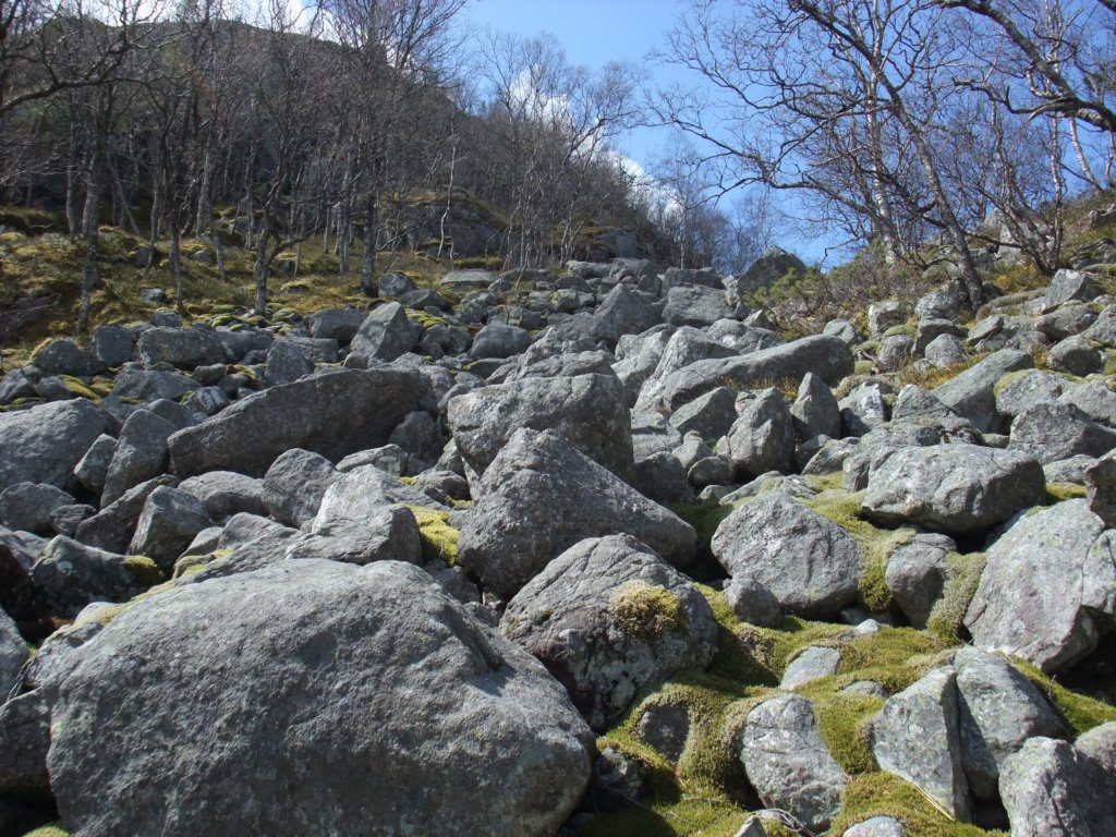 uravedfotenavfjellet.jpg