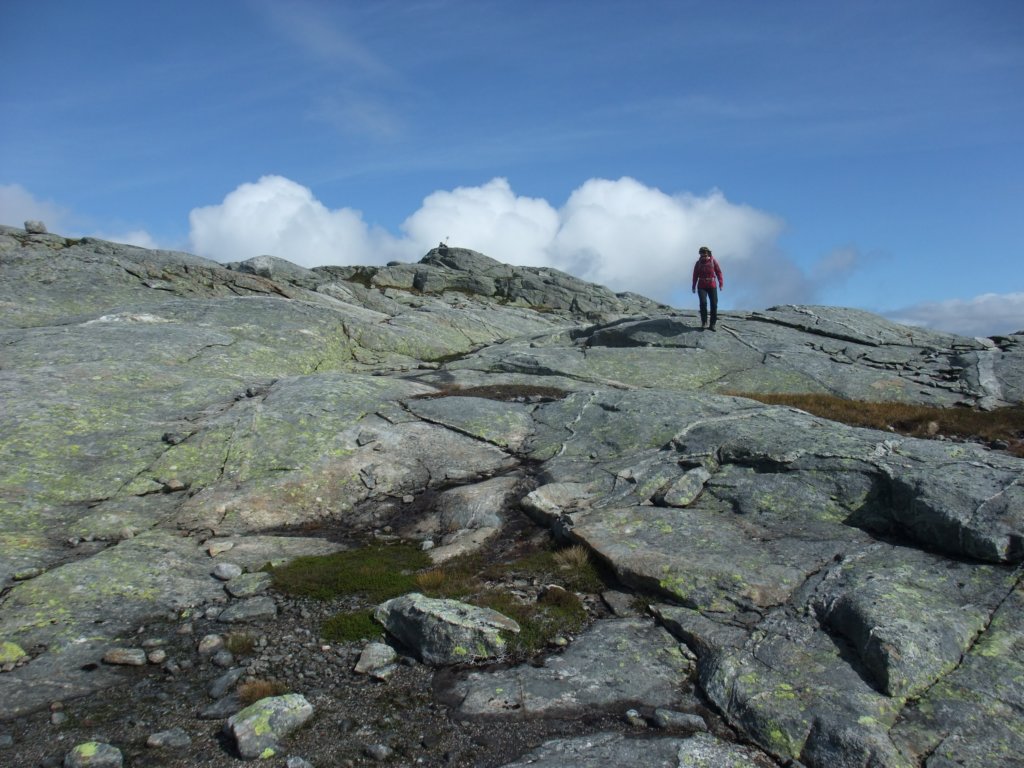 hjemoveretterenlangdagpfjellet.jpg