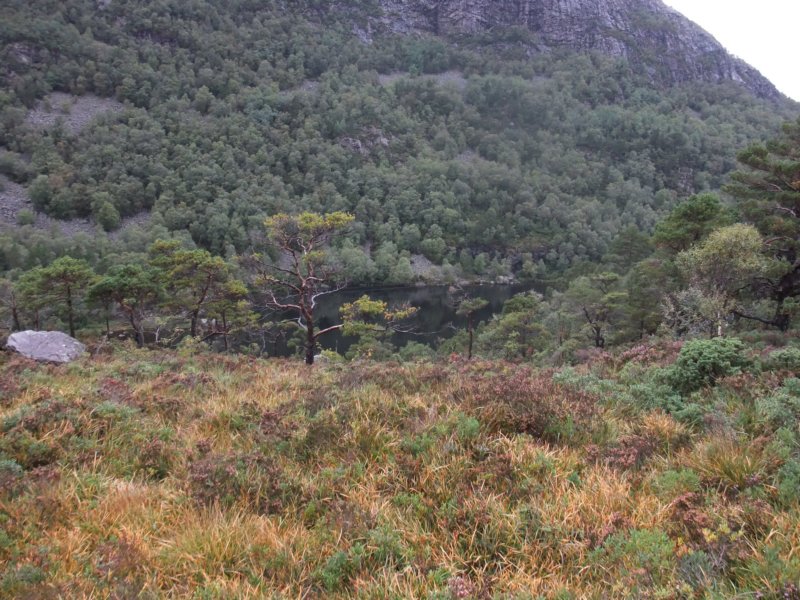 langsstigatjrna.jpg