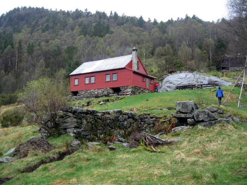 Photograph